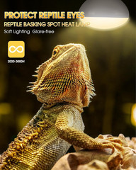 Reptile Heat Lamp Bulbs -100W UVA Natural Daylight Heating Lamp Basking Bulb for
