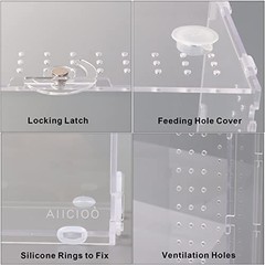 Aiicioo Micro Habitat Terrarium Enclosure 8x6x14 Inches