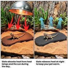 3 Pack Reptile Basking Platform, 11”x5.5” Tortoise Rock Plates, Bearded Dra…