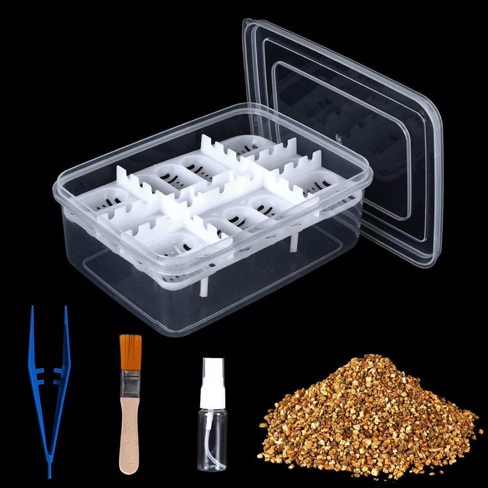 16 Grids Reptile Egg Incubator Box Turtle Lizard Gecko Snake Hatching Container