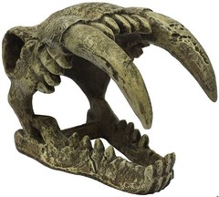 Reptile, Komodo Saber Tooth Skull Terrarium Decoration (Large – 1 count)