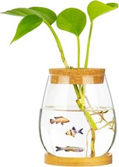 Desktop Fish Bowl Clear Glass Small Tank with Wood Lid and Bamboo Stand…
