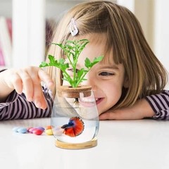 Desktop Fish Bowl Clear Glass Small Tank with Wood Lid and Bamboo Stand…