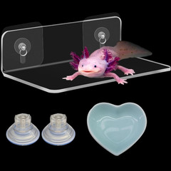 Axolotl Hammock Ledge for Aquarium and Feeding Dish, Axolotl Hammock with Cerami