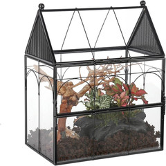Glass Enclosure w/ Vent Holes for Insect Jumping Spiders Snails – 7.5″ xx 4.9″