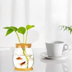 Desktop Fish Bowl Clear Glass Small Tank with Wood Lid and Bamboo Stand…
