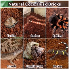8 Pack Coconut Fiber Substrate – Natural Coco Coir Bedding for Reptiles, Turtles