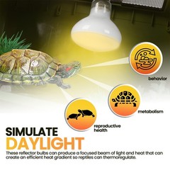 100W Reptile Heat Lamp Bulbs – UVA Daylight Basking Light for Turtles, Lizards,