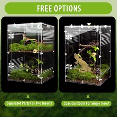 Acrylic Jumping Spider Enclosure Removable Divider 12x8x8 Inch Reptile Tank