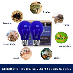 2 Pack AIICIOO 60W UVA Daytime Reptile Bulb Heating Lamp E26 – Blue