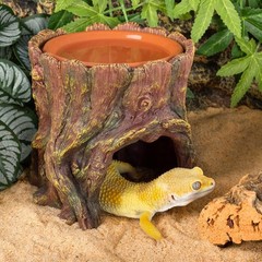 Naturalistic Leopard Gecko Hide Cave – Safe Resin Design with Clay Water Basin