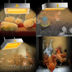 Chicken Coop Heater for Winter, Heat Lamp for Chickens 400W, Chicken Heater for