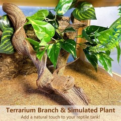 BNOSDM 2PCS Natural Reptile Climbing Branches Decor,1.8-2.2″ Thick Natural Sn…