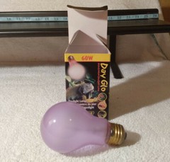 Reptile Daylight Heat Lamp/UVA Bulb / Exo Terra / Neodymium Bulb / 60 Watt