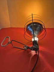 Electric Infrared Penetray Sun Lamp With Clamp Heat Reptiles Chickens Homeschool