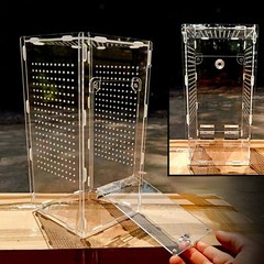 Acrylic Mantisese Terrarium Portable Landscaping Space Hatching Case Terrarium