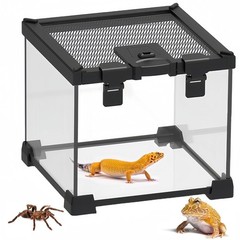 BNOSDM Reptile Tank,8″ x 8″ x 6″ Mini Reptiles Terrarium,Full View Young Liza…