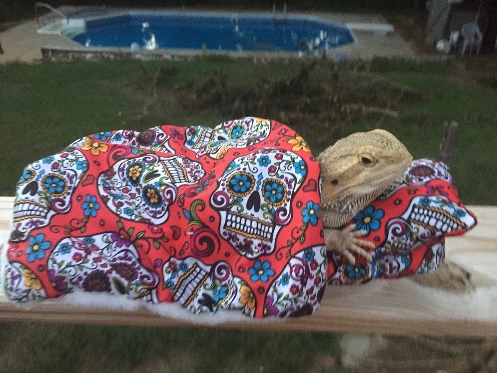 SPANISH SKULL PRINT LRG RESTING BED COVER ONLY /NO FRAME BED 4 BEARDED DRAGONS