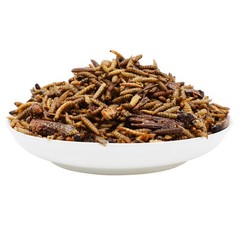 Dried Insect Trail Mix High Protein Natural Treat for Chickens Birds Reptiles