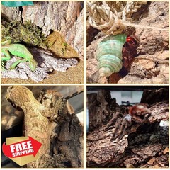 BNOSDM Reptile Cork Bark Terrarium Substrate Bedding 0.7 LB
