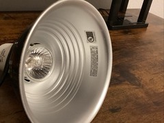 Fluker’s 5.5 inch Deluxe Clamp Lamp for incandescent or ceramic heat 75 watt max