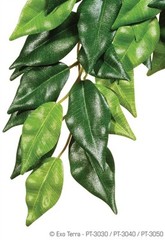 EXO TERRA SILK PLANT – FICUS – MEDIUM