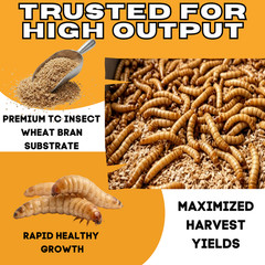 10 lb Wheat Bran for Mealworms & Superworms Food and Bedding Fast Shipping