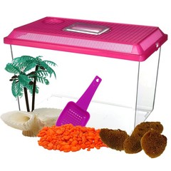 Needzo All in One Starter Kit Hermit Crab Habitat Supplies, DIY Small, Multi