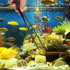 2pc10.6″Aquarium Tweezers,Stainless Steel Straight and Curved Tweezers Set,Lo…