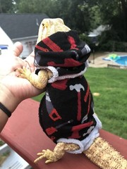 BASIC TOOLS 🧰 🛠 PRINT XLRG SLEEVELESS HOODY BODY SHIRT 4 UNISEX BEARDED DRAGON