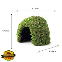 Galapagos Mossy Dome Hide, 6 in, Galápagos Green