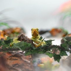 Terrarium Vines Reptile Gecko Vines Jungle Climber Vine Reptile Climbing Branch