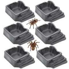 6 Pack Tarantula Water Bowl Hermit Crab Resin Dish for Reptile Tarantula Spid…