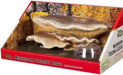 Reptile, Zilla Mushroom Feeding Ledge Reptile Decor (1 Count)