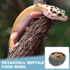 Reptile Food Bowl Worm Water Dish Resin Pet Bowl 4″ White for Scaled Pet
