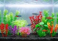 25 Pack Aquarium Plants, Fish Tank Decoration Colorful Artificial Fish Tank D…