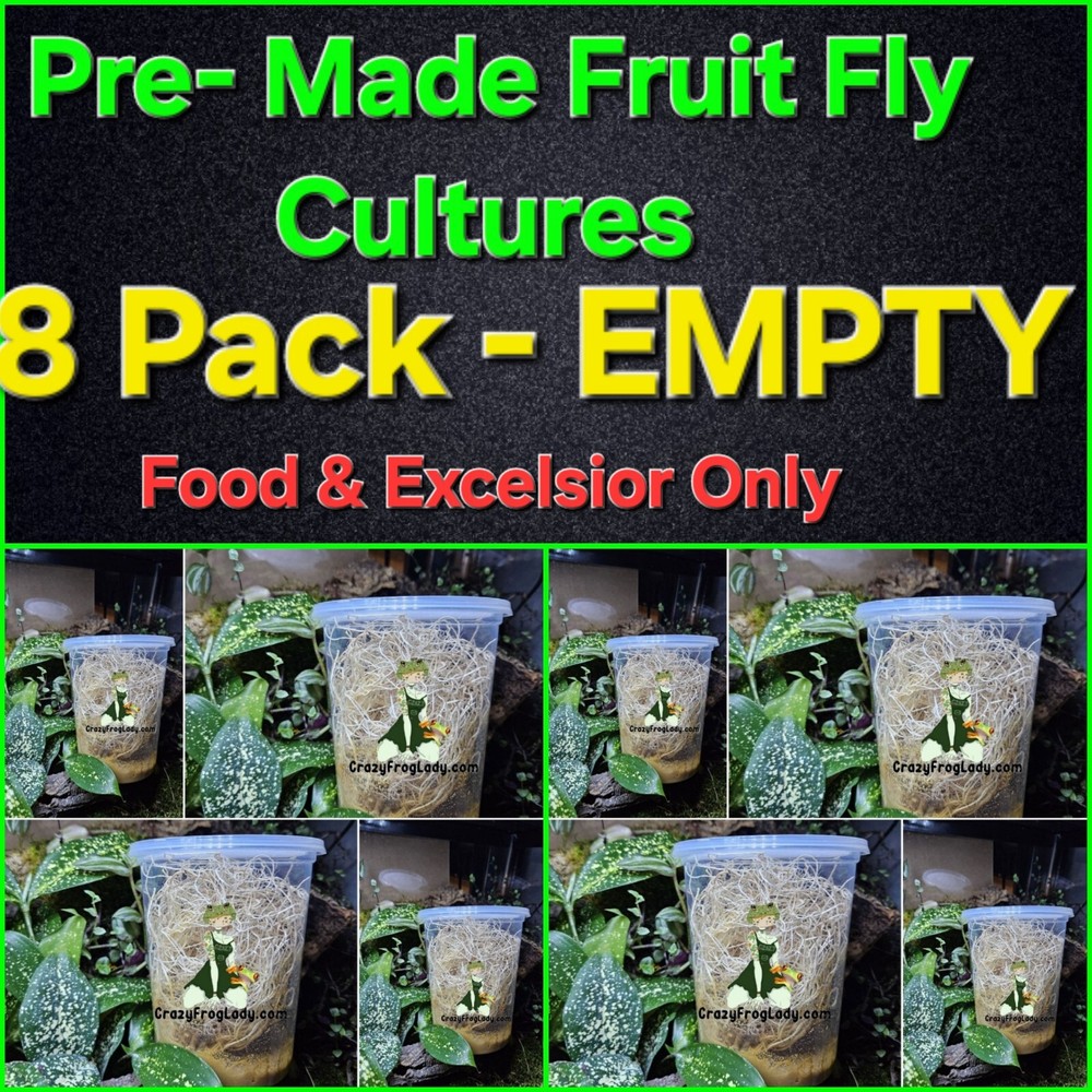 Fruit Fly Cultures 8 Pack NO FLIES Pre-Made FOOD & Excelsior Only Dart Frog Food