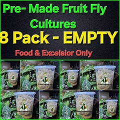 Fruit Fly Cultures 8 Pack NO FLIES Pre-Made FOOD & Excelsior Only Dart Frog Food