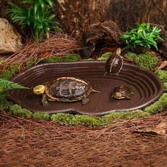 Extra Large Reptile Bathing Pool Reptile Feeding Dish Water Bowl with Ramp Aq…