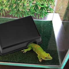 Medium Reptile Hide Box Small Animal Hideaway Texture Snake Lizard Gecko