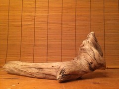 Beautiful 12″ DRIFTWOOD Piece Art Terrarium Taxidermy Aquarium Reptile DECOR