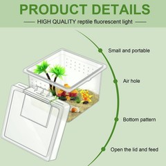 20 Pcs Insect Spider Terrariums Breeding Box Small Reptile Hatching Container