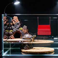 Hanging Turtle Basking Platform Floating Large Area Aquatic Reptile