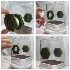 Bird watching jumping spider enclosure, terrarium, acrylic