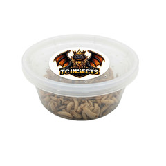 TC INSECTS Black Soldier Fly Larvae Live Feeder Insects for Reptiles & Amphibian