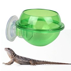 1Pcs Green ABS Durable Lizard Feeding Bowl with Suction Cup for Reptiles
