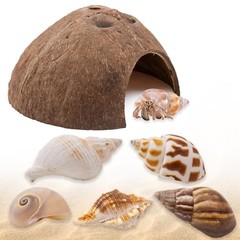 6 PCS Hermit Crab Shell 1 Coconut Hut 5 Seashell Decoration Tank Hideout Toy