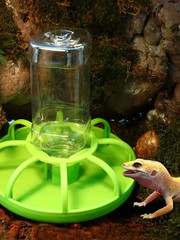 1Pc Crawler Turtle Automatic Water Dispenser Climbing Pet Land Turtle Lizard Pal