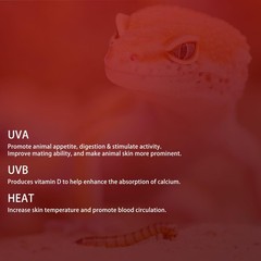 G9 Infrared Heat Lamp Bulbs Dimmable Night Red UVA 2 Pin 25 Watt 6 PCS