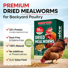 Dried Mealworms 100% Non-Gmo 10 Lb – Mealworms for Birds, Chickens, Ducks – Perf